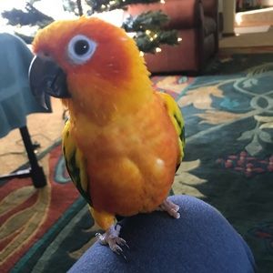 Meet your Posher, Barb